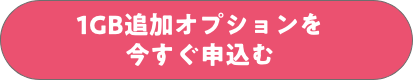 1GB追加オプションを今すぐ申込む