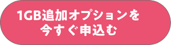 1GB追加オプションを今すぐ申込む