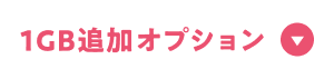 1GB追加オプション