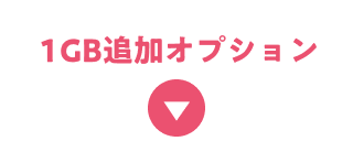 1GB追加オプション