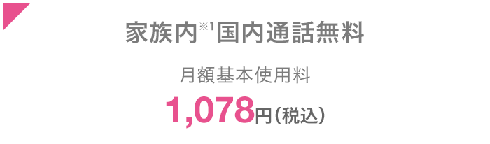 家族内*1国内通話無料 月額基本使用料1,078円（税込）