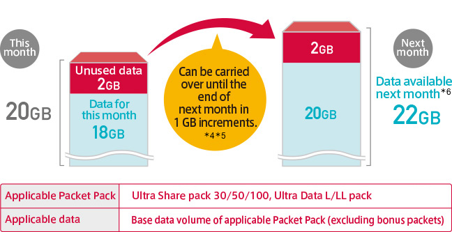 Image of Packet CarryOver