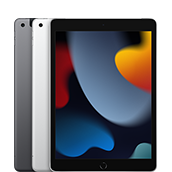 iPad (9th generation)