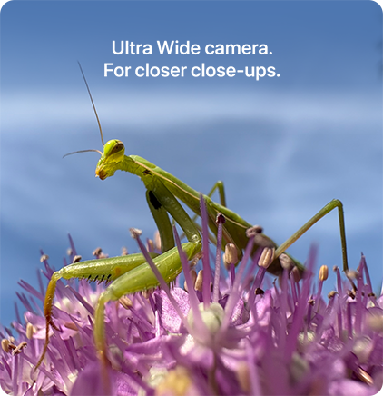 Ultra Wide camera. For closer close-ups.