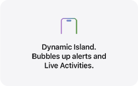 Dynamic Island. Bubbles up alerts and Live Activities.