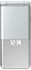 Image of Silver model