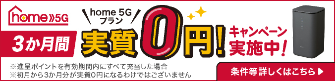 「home 5G プラン」3か月間実質0円！キャンペーン実施中！※進呈ポイントを有効期間内にすべて充当した場合※初月から3か月分が実質0円になるわけではございません条件等詳しくはこちら