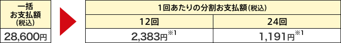 一括お支払額（税込）：28,600円 1回当たりの分割お支払額（税込）12回：2,383円※1 24回：1,191円※1