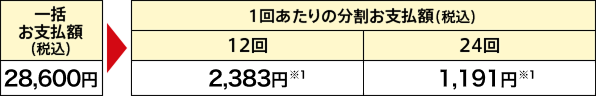 一括お支払額（税込）：28,600円 1回当たりの分割お支払額（税込）12回：2,383円※1 24回：1,191円※1