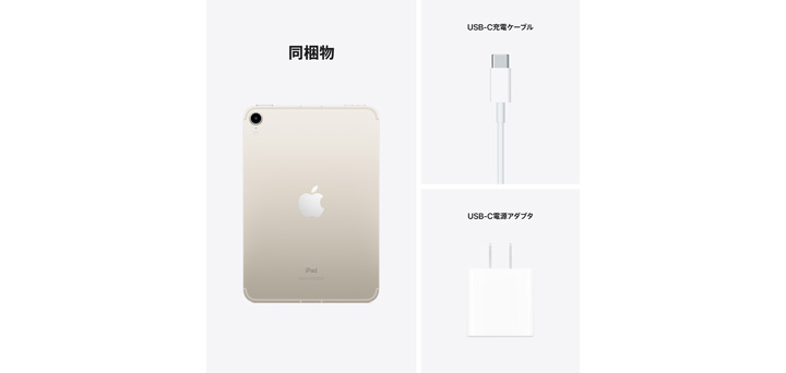 iPad mini スターライト