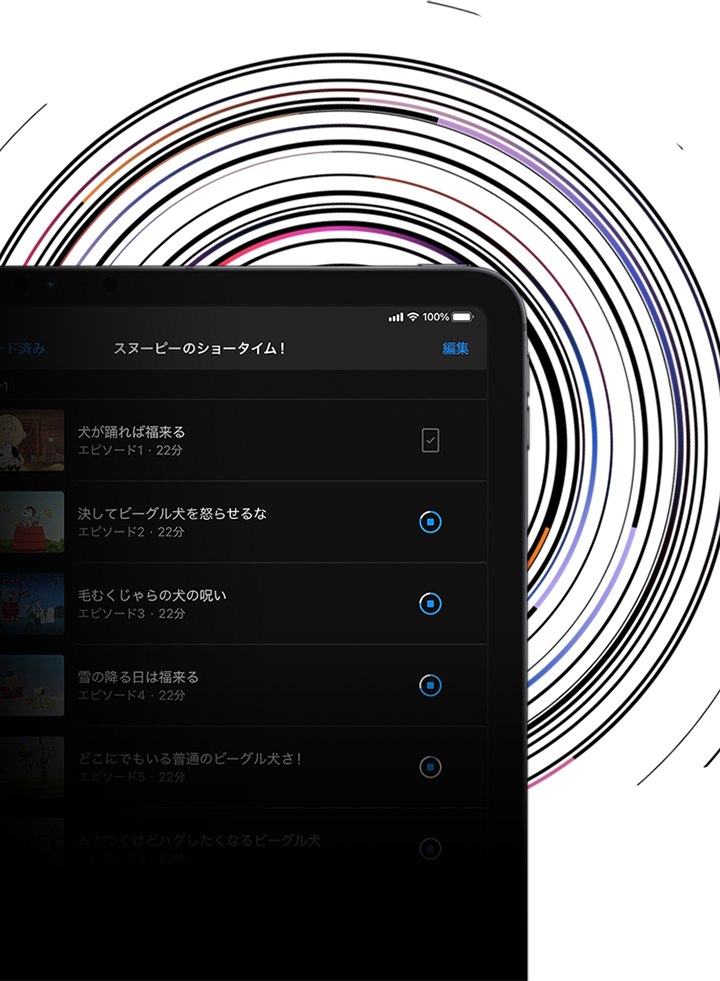 11インチiPad Pro（第3世代）・12.9インチiPad Pro（第5世代