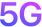 5G