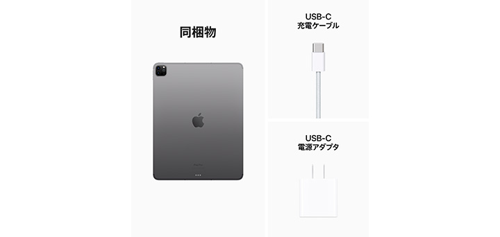 iPad Pro 11インチ Cellularモデル 256GB docomo