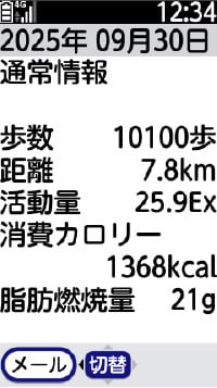 ウォーキングによる情報（歩数、距離、活動量、消費カロリー、脂肪燃焼量）を表示した端末画面
