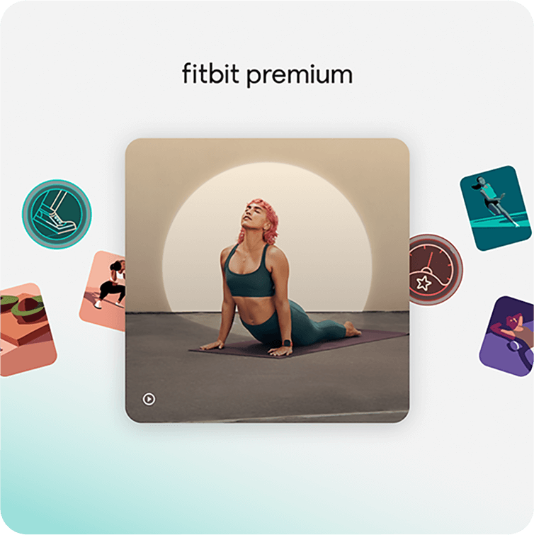 Fitbit Premiumのライブラリ画面のイメージ画像