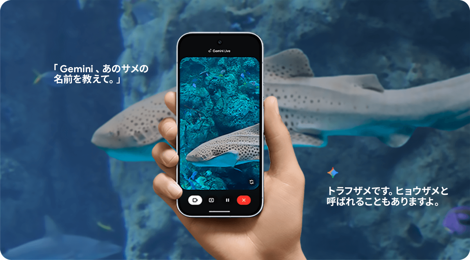 Gemini LiveでGeminiにサメの名前を聞いている様子
