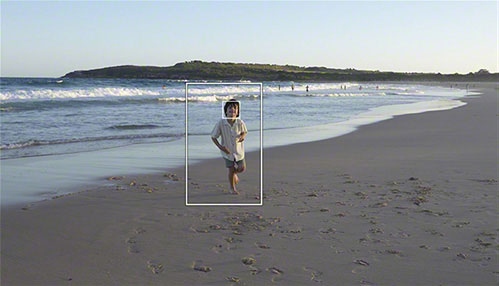 海辺で遊ぶ子供の引きの画像