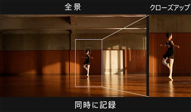 全景とクローズアップを同時に記憶しているイメージ図