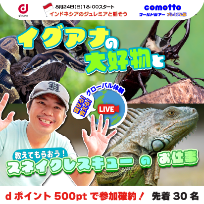 comotto　ワールドツアー プレミアム版 8月24日（日）18:00スタート インドネシアのジュレミアと話そう 教えてもらおう！イグアナの大好物とスネイクレスキューのお仕事 話せる！会える！グローバル体験 dポイント500ptで参加確約！先着30名