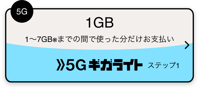 5G 1GB 1～7GB※までの間で使った分だけお支払い 5Gギガライト ステップ1