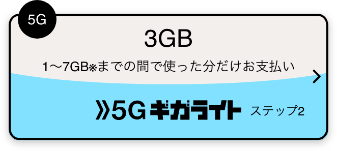 5G 3GB 1～7GB※までの間で使った分だけお支払い 5Gギガライト ステップ2