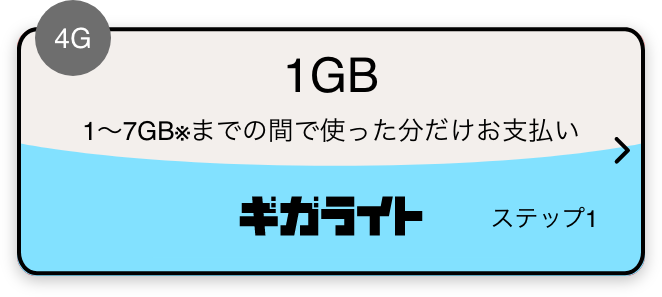 4G 1GB 1～7GB※までの間で使った分だけお支払い ギガライト ステップ1