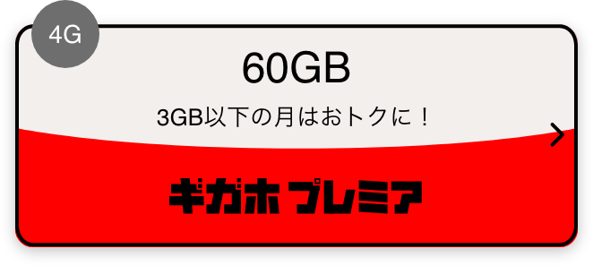 4G 60GB 3GB以下の月はおトクに！ ギガホ プレミア