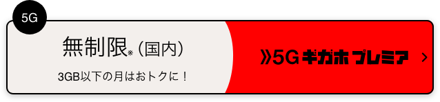 5G 無制限※（国内） 3GB以下の月はおトクに！ 5Gギガホ プレミア