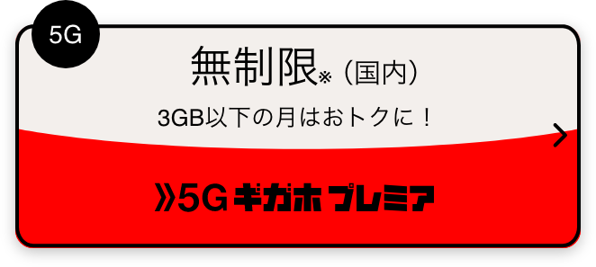 5G 無制限※（国内） 3GB以下の月はおトクに！ 5Gギガホ プレミア