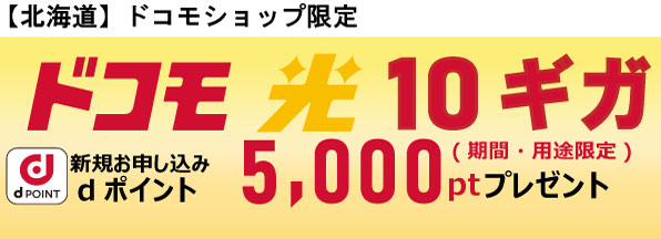 【ドコモショップ限定】ドコモ光 10ギガ お申込みdポイントプレゼント特典