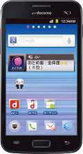 docomo NEXT series GALAXY S II LTE SC-03Dの写真（正面）