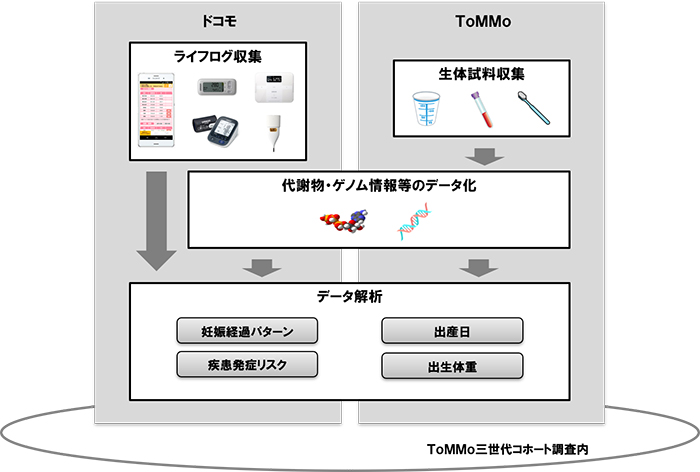 画像：図1 役割分担