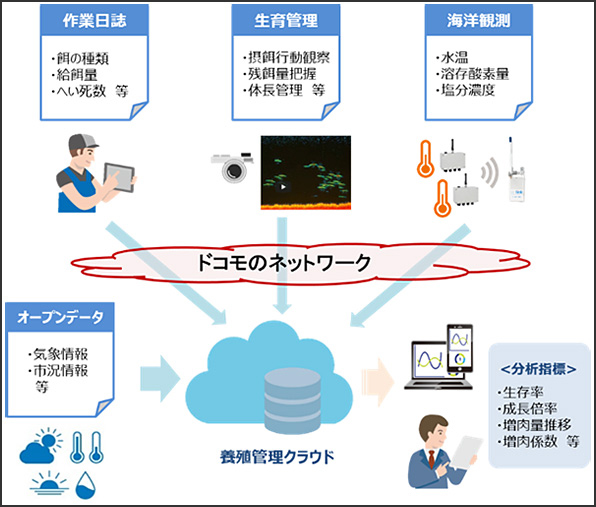 実証実験概要図