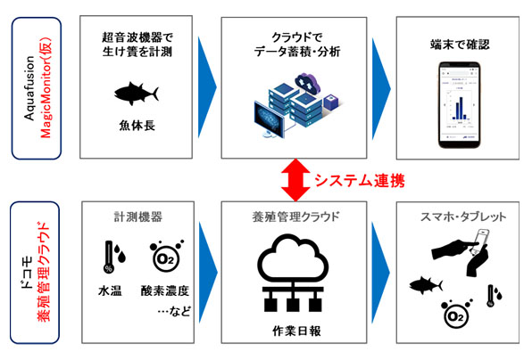 システム連携イメージ