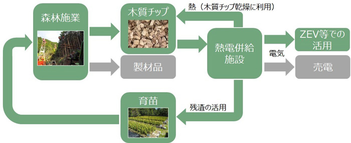 森林施業から消費活動までのバリューチェーン