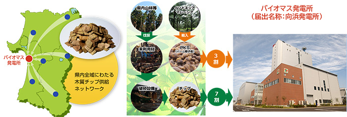 秋田県におけるバイオマス発電の取り組み