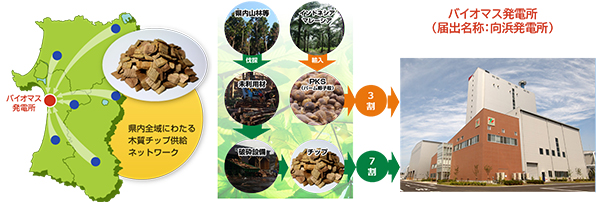 秋田県におけるバイオマス発電の取り組み
