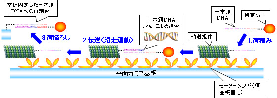 成功した技術のイメージ図