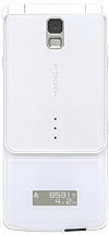 F906iの写真（クローズ時）