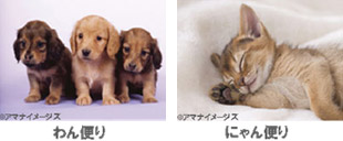 イメージ画像