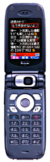 ムーバD505iS＜スカイグレー＞の製品本体の写真