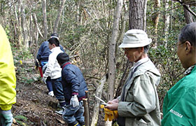 2006年11月「ドコモ　美作の森」森林整備活動の様子のイメージ
