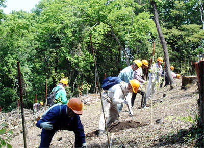 2008年5月に行われた「ドコモとっとり伯耆の森」第1回目活動の模様