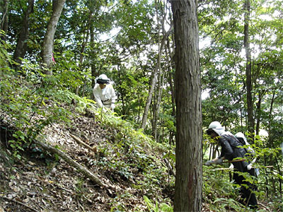 前回の「ドコモ徳地滑松の森」森林整備活動の様子（2008.7）