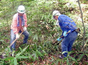 前回の「ドコモ徳地滑松の森」森林整備活動の様子(2010.9.1)