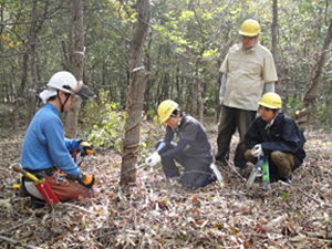 前回(2010年)の「ドコモ島根だんだんの森」森林整備活動の様子