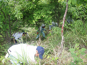 昨年の森林整備活動の様子（2012年月5月26日）