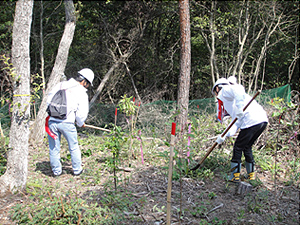 前回(2012年)の「ドコモ美作の森」森林整備活動の様子