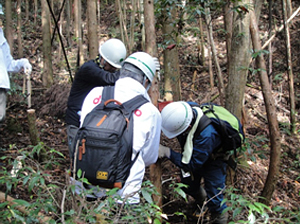 前回の「ドコモ徳地滑松の森」森林整備活動の様子