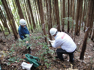 前回の「ドコモ徳地滑松の森」森林整備活動の様子